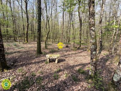 Acheter Terrain Mareuil-sur-arnon Cher