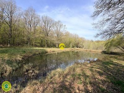 Acheter Terrain Mareuil-sur-arnon 55000 euros