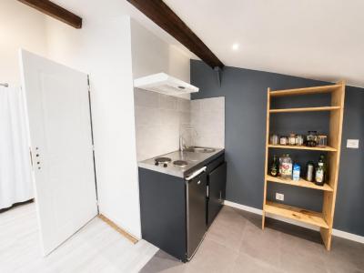 For rent Saint-etienne 1 room 22 m2 Loire (42000) photo 1