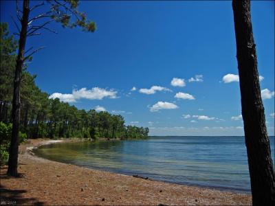 For sale Hourtin 540 m2 Gironde (33990) photo 0