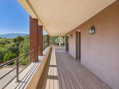 Annonce Vente 3 pi�ces Appartement Porto-vecchio 20