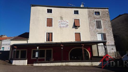 For sale Bourbonne-les-bains 8 rooms 340 m2 Haute marne (52400) photo 0