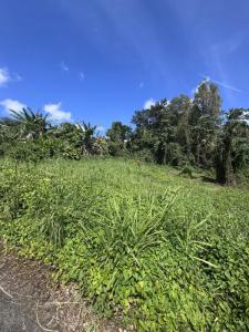 For sale Ducos 2990 m2 Martinique (97224) photo 1