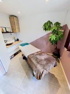 Acheter Local commercial Villenave-d'ornon 155000 euros