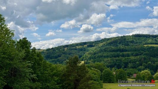 For sale Ban-de-laveline 1792 m2 Vosges (88520) photo 0