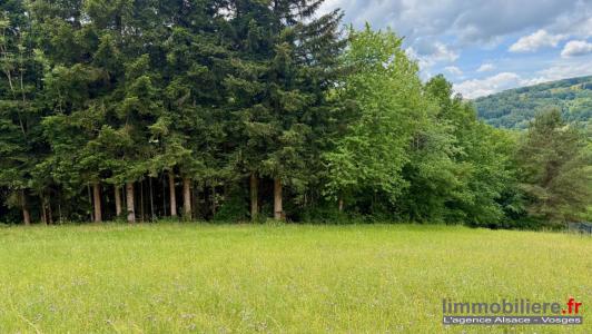 Annonce Vente Terrain Ban-de-laveline 88