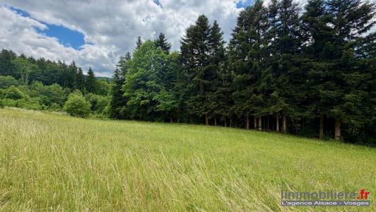 Acheter Terrain Ban-de-laveline Vosges
