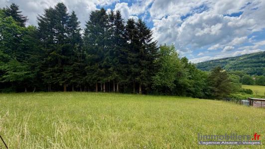 Acheter Terrain Ban-de-laveline 40000 euros