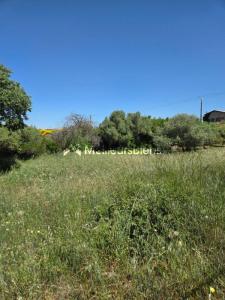 Acheter Terrain Laurens Herault
