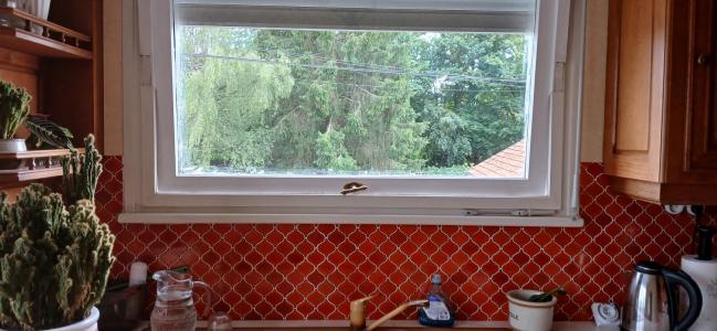 Acheter Maison Pontcey 176800 euros