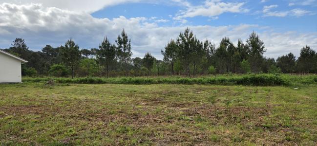 For sale Parentis-en-born 518 m2 Landes (40160) photo 0