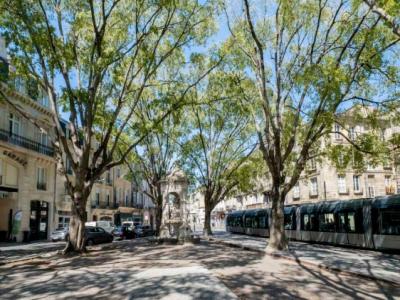 For rent Bordeaux 2 rooms 45 m2 Gironde (33000) photo 0