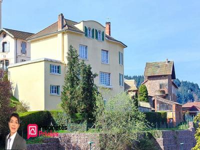 Annonce Vente 14 pi�ces Maison Bourg-de-thizy 69