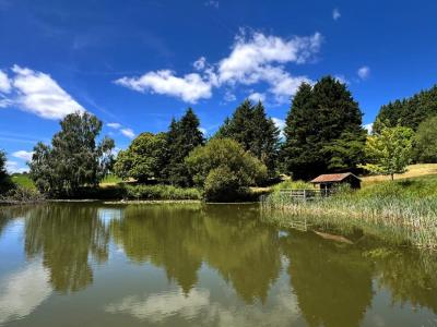 For sale Sarlande 4 rooms 12839 m2 Dordogne (24270) photo 0