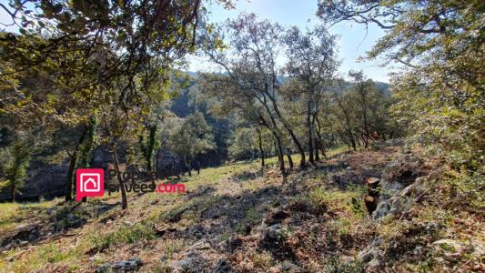 Annonce Vente Terrain Uzes 30