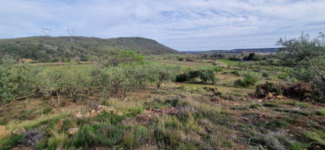 Acheter Terrain Fontes Herault