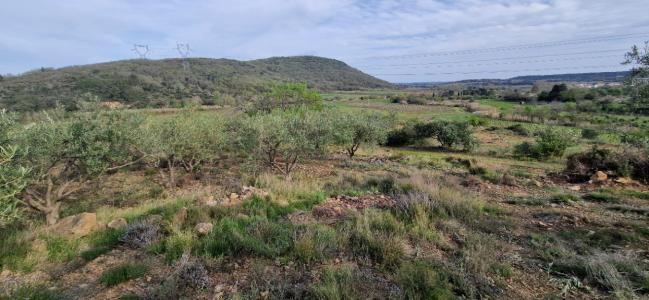 Acheter Terrain Fontes 36000 euros