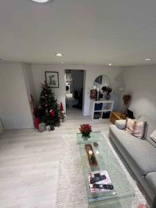 For rent Lunel Rue Fr�d�ric Mistral, 2 rooms 34 m2 Herault (34400) photo 0