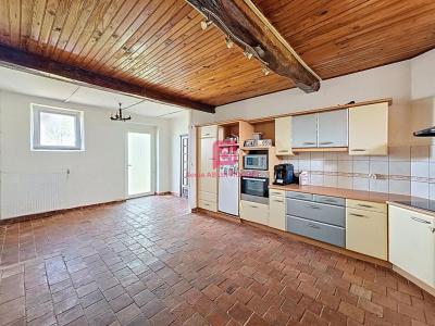 Acheter Maison 195 m2 Rouaudiere