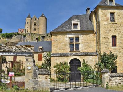 Annonce Vente Prestige Salignac-eyvigues 24