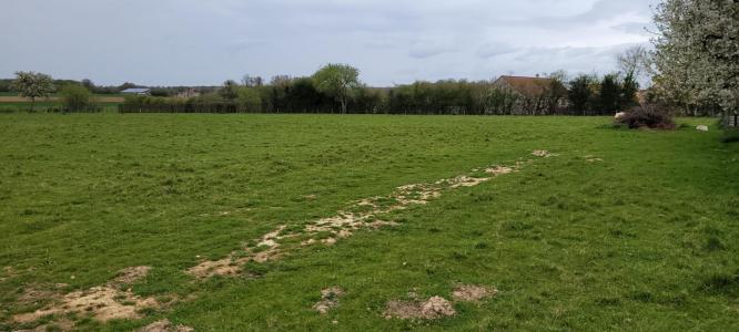 Annonce Vente Terrain Vendome 41