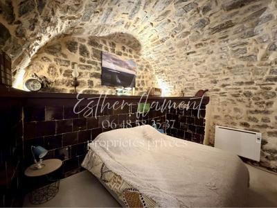 Acheter Immeuble Anduze 520000 euros