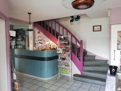 Acheter Maison 380 m2 Port-sur-saone