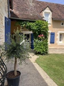 Annonce Vente Prestige Chauvigny 86