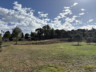 Annonce Vente Terrain  30