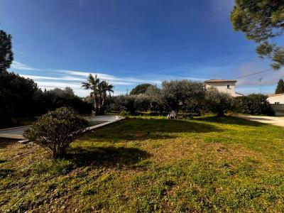 Annonce Vente Terrain Beaucaire 30
