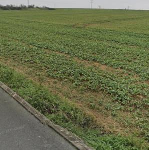 For sale Perigny Charente maritime (17180) photo 0