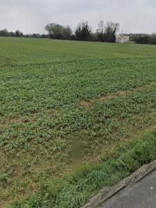 Acheter Terrain Perigny