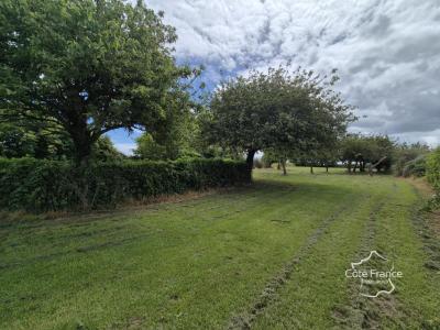 For sale Sainte-genevieve 13 rooms 234 m2 Manche (50760) photo 4