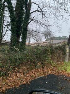 For sale Gujan-mestras 800 m2 Gironde (33470) photo 0