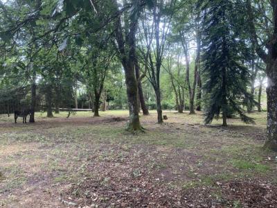 For sale Brede 1300 m2 Gironde (33650) photo 0