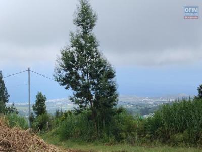 Annonce Vente Terrain Saint-gilles-les-hauts 974
