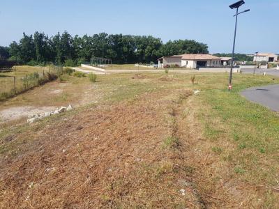 Annonce Vente Terrain Combefa 81