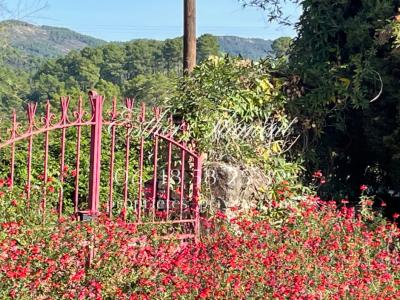 For sale Anduze 11 rooms 266 m2 Gard (30140) photo 3