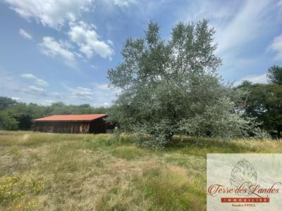 Acheter Maison Trensacq Landes