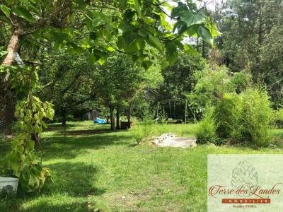 Annonce Vente 6 pi�ces Maison Losse 40