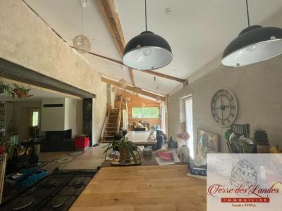Annonce Vente 5 pi�ces Maison Saugnacq-et-muret 40