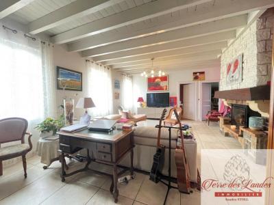 Annonce Vente Prestige Pissos 40