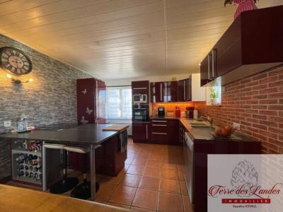 Acheter Maison 240 m2 Sabres