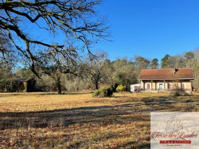 Annonce Vente 5 pi�ces Maison Bourriot-bergonce 40