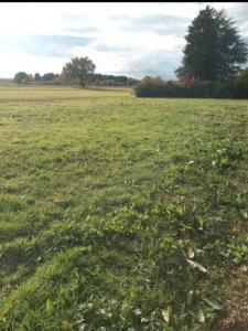 Acheter Maison 74 m2 Castelginest