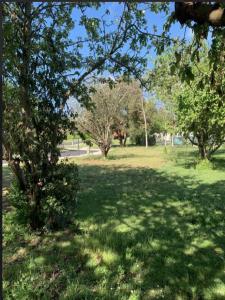Acheter Maison Colomiers 345758 euros