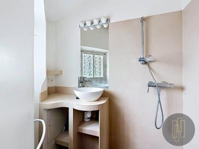 Acheter Appartement 15 m2 Lyon-7eme-arrondissement