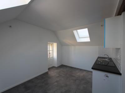 For rent Nantes 2 rooms 27 m2 Loire atlantique (44000) photo 0