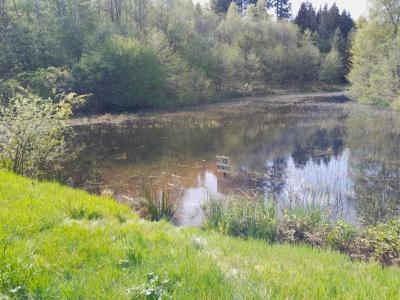 Annonce Vente Terrain Faucogney-et-la-mer 70