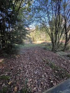 Acheter Terrain 9200 m2 Faucogney-et-la-mer